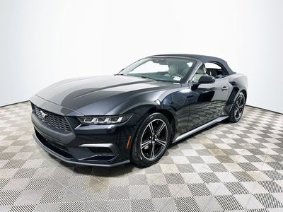 2024 Ford Mustang EcoBoost Premium
