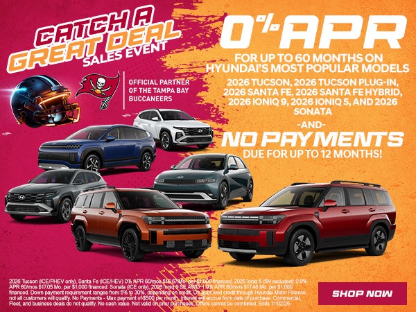 0% APR OR No Payments for up to 12 Months