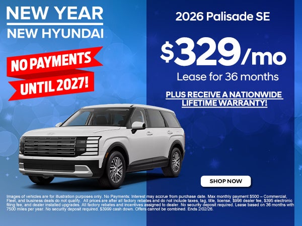 2026 Palisade SE